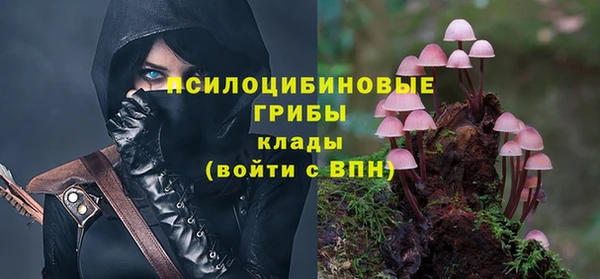 PSILOCYBIN Нефтекумск